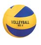 PELOTA DE VOLLEY PRO