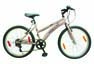 BACCIO ALPINA 24 LADY 6C