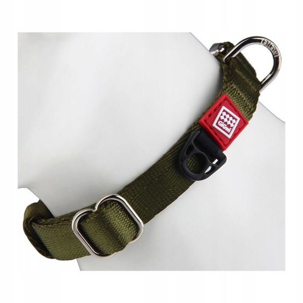 Imagen de Collar Gigwi Premium Line m 8341/42