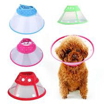 Imagen de Collar Isabelino Boton m Abt-1130