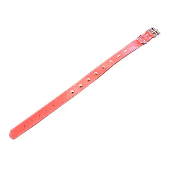 Imagen de Collar Silicona con Tacha