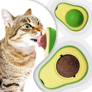 Imagen de Yerba Gatera Palta