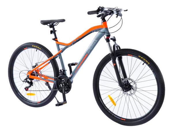 Imagen de Bici Zanella Delta Xe 2,10 Gr/nar