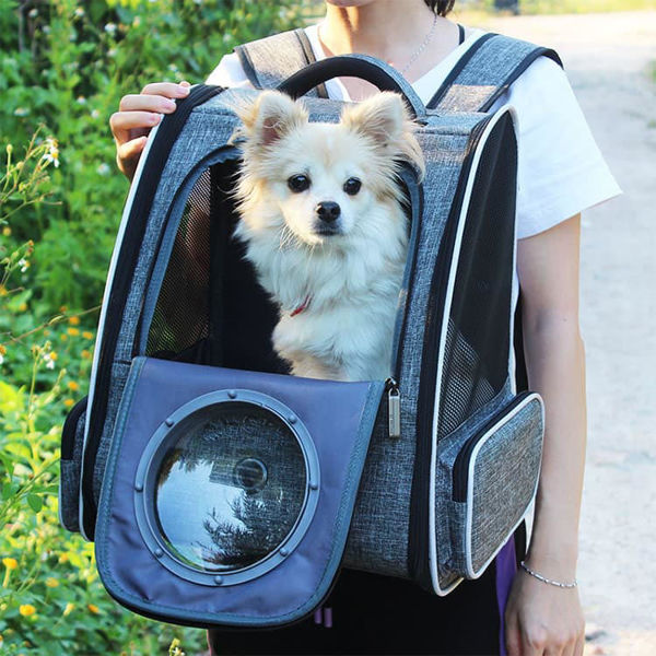 Imagen de Mochila Lisa con Capsula R6
